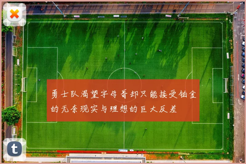 勇士队渴望字母哥却只能接受铂金的无奈现实与理想的巨大反差