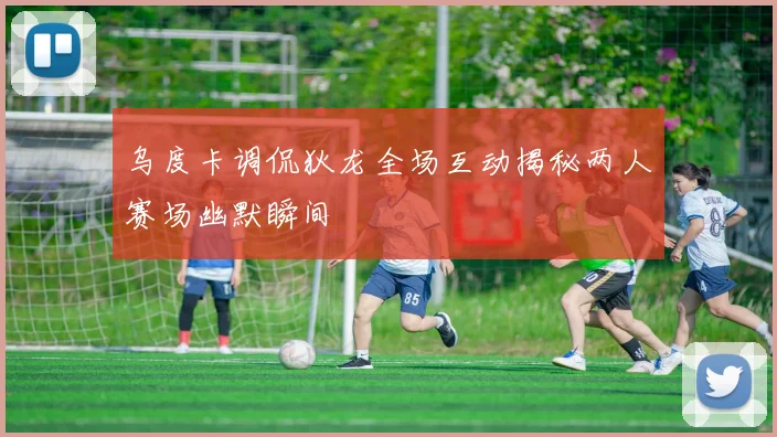 乌度卡调侃狄龙全场互动揭秘两人赛场幽默瞬间