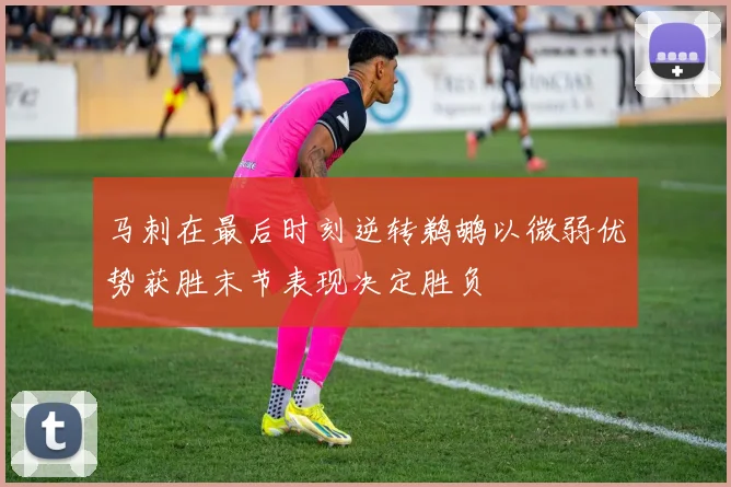 马刺在最后时刻逆转鹈鹕以微弱优势获胜末节表现决定胜负