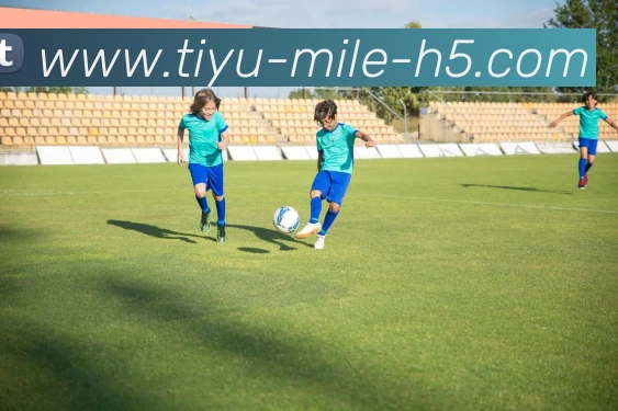 米乐体育发展历程